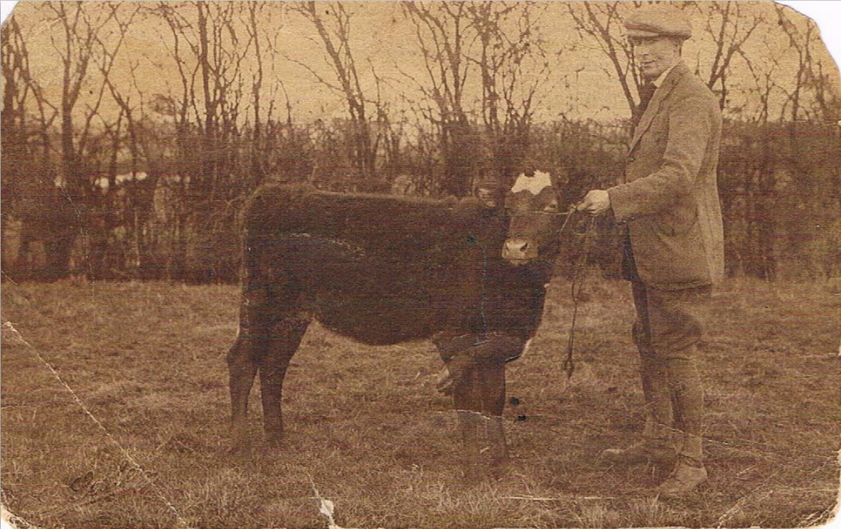Albert with 5 legged 6 hooved calf at Proctor's Farm, Redditch